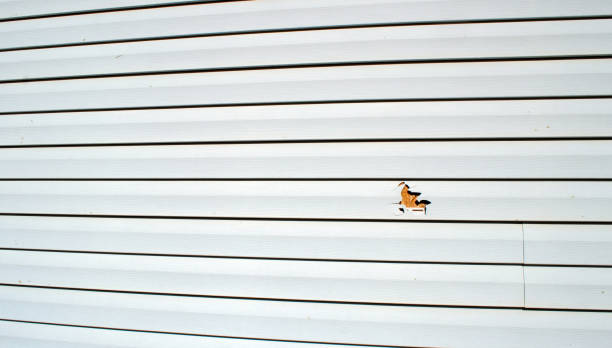 Best Residential Vinyl Siding Installation  in Beckett, NJ