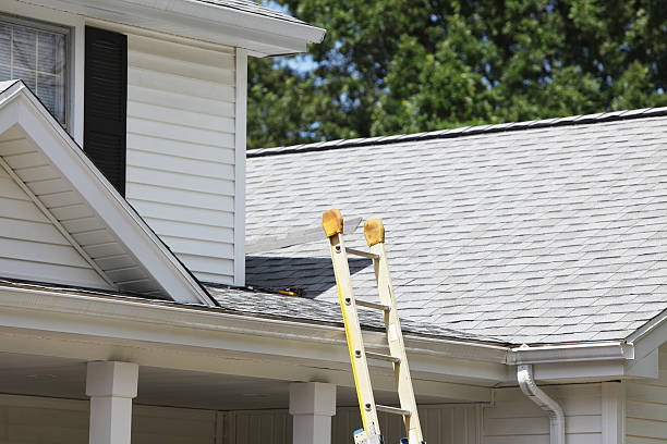 Best Custom Trim and Detailing for Siding  in Beckett, NJ